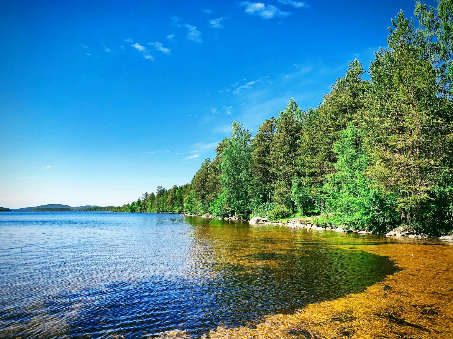 Fantastic Swedish nature. Language classes at Polymathes Academy Fantastic Swedish nature. Language classes at Polymathes Academy
