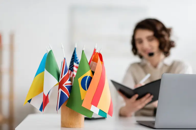 Flags in a vase - woman attending online language class at Polymates academy Flags in a vase - woman attending online language class at Polymates academy